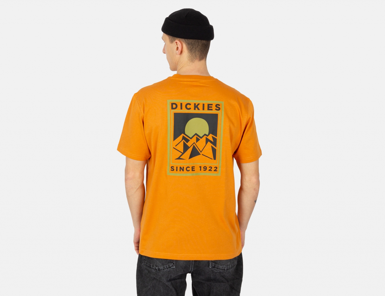 Dickies Pacific T-Shirt - Golden Ochre